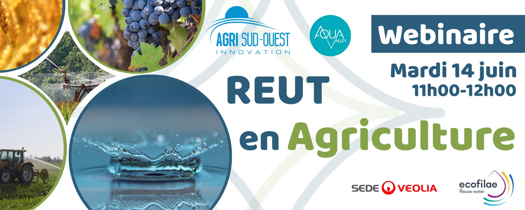 WEBINAIRE REUT EN AGRICULTURE