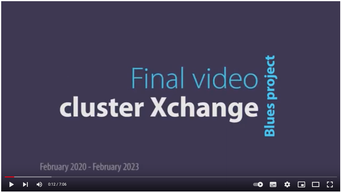 FINALISATION DU PROJET BLUES