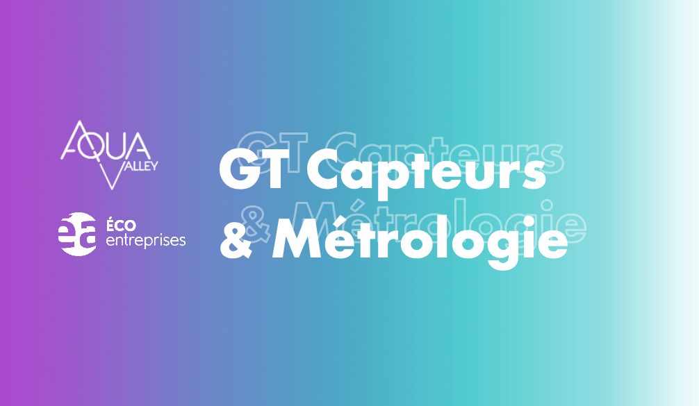 GT CAPTEURS ET METROLOGIE | 2023