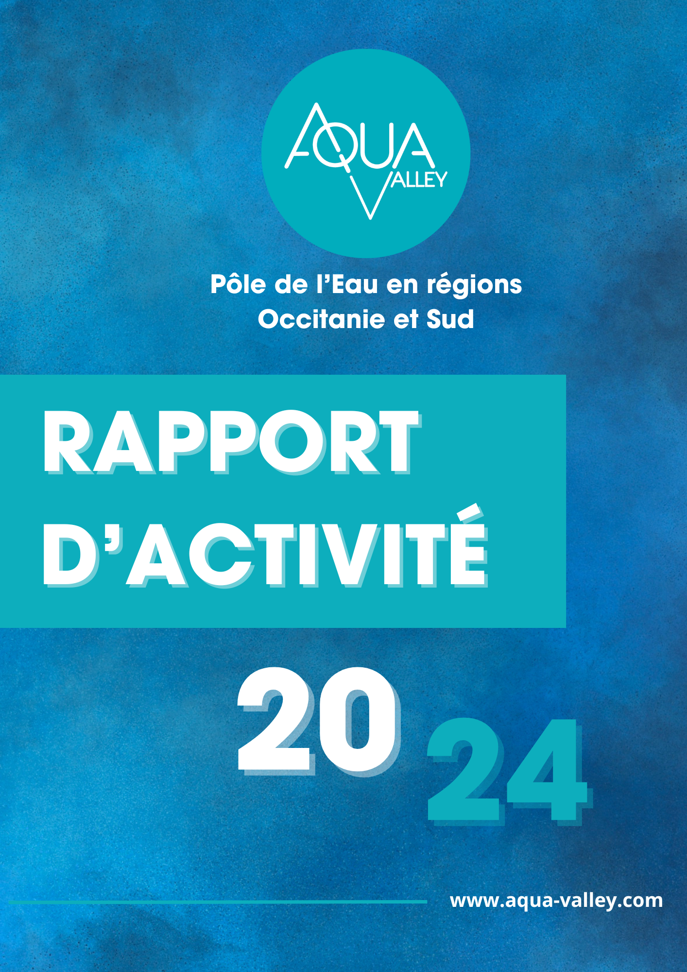 Rapport d'activité Aqua-Valley 2024