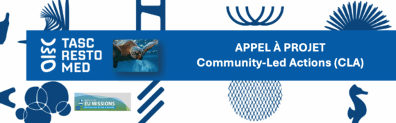 AAP • COMMUNITY-LED ACTIONS (CLA)