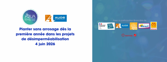 Planter sans arrosage dès la première année  pour obtenir des végétaux autonomes dans les projets de désimperméabilisation : défi ou réalité ?